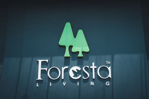 Forest Furniture